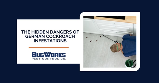 Photo of a technician spraying insecticide on cockroaches, with text 'The Hidden Dangers of German Cockroach Infestations'