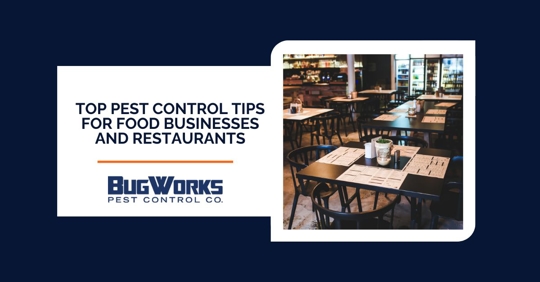 Photo text: Top Pest Control Tips for Food Businesses and Restaurants. Photo of restaurant interior.