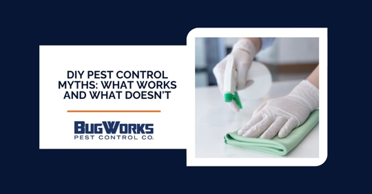 Photo text: DIY Pest Control Myths: What Works and What Doesn't. Photo of gloved hands cleaning surface